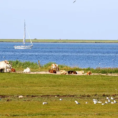 Cozy In Ostseeresort Feriehus Olpenæs